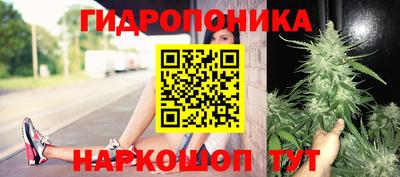 метадон Лесосибирск