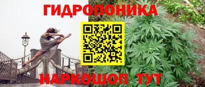 спайс Кунгур
