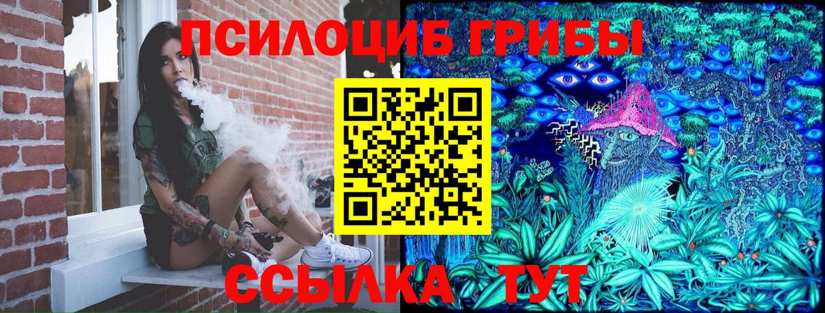 Псилоцибиновые грибы Magic Shrooms Дивногорск