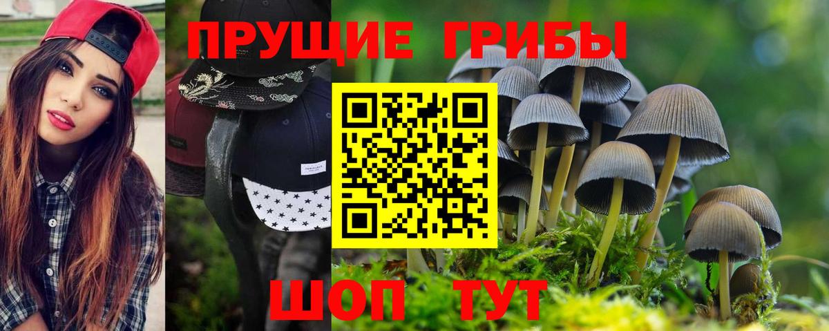 Галлюциногенные грибы MAGIC MUSHROOMS  Вход с VPN  Дивногорск 