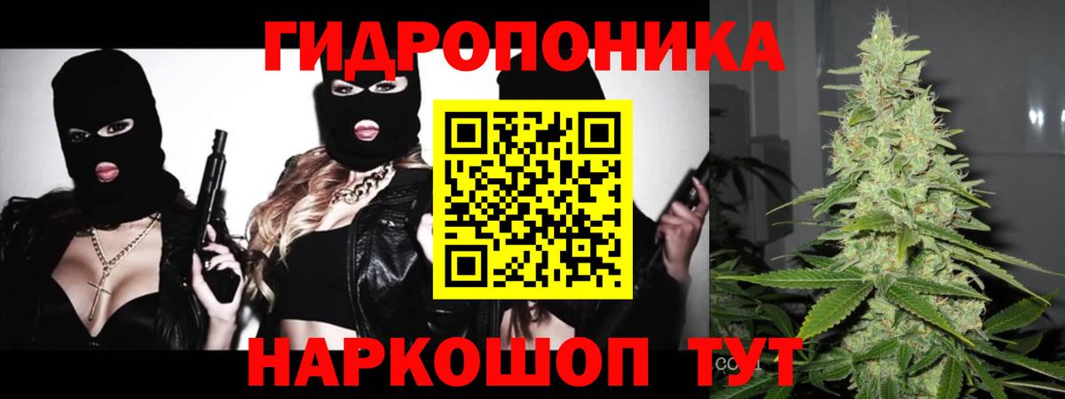 Бошки Шишки тримм  Бошки Шишки AK-47  Вход с VPN  Бошки Шишки планчик  Дивногорск 